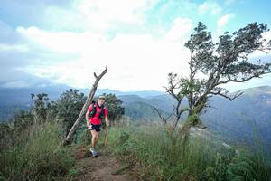 BIB: 
                            <button type="button" onclick="openModal(22373127)" class="btn btn-primary btn-sm float-right btn-popup" data-toggle="modal" data-target=".modal-high-quality">
                        <i class="fas fa-shopping-cart"></i> Add to Cart
                    </button>
                                            <button type="button" onclick="isThisMe(22373127, true)" class="btn btn-success btn-sm float-right btn-popup btn-isme hidden" data-toggle="tooltip" data-placement="bottom" title="นี่คือรูปของคุณใช่ไหม คลิกที่นี่เพื่อเอาเข้าอัลบั้ม">
                        <i class="fas fa-plus"></i> Add to album
                    </button>
                    <button type="button" onclick="isThisMe(22373127, false)" class="btn btn-warning btn-sm float-right btn-popup btn-isnotme hidden">
                        <i class="fas fa-ban"></i> Remove from album
                    </button>